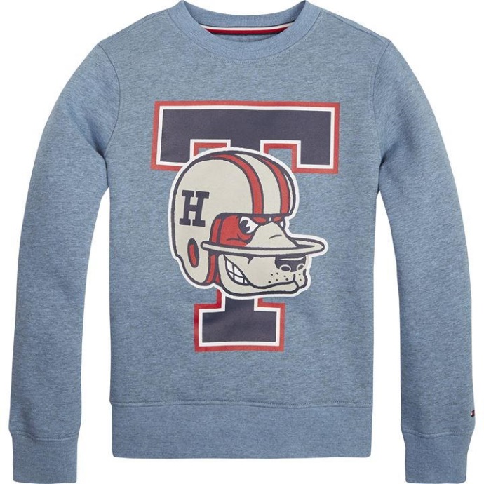 Maskot Sweatshirt Blå Tommy Hilfiger Danmark