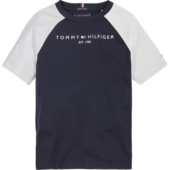 Tommy Hilfiger Danmark Desert Sky Dw5 Essential Colorblock Tee S/s