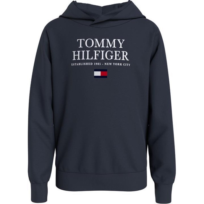 Tommy Hilfiger Danmark Desert Sky Dw5 Junior Essential Logo Hættetrøje