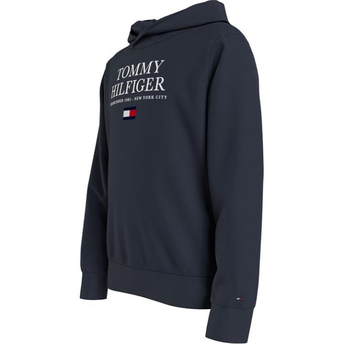 Tommy Hilfiger Danmark Desert Sky Dw5 Junior Essential Logo Hættetrøje