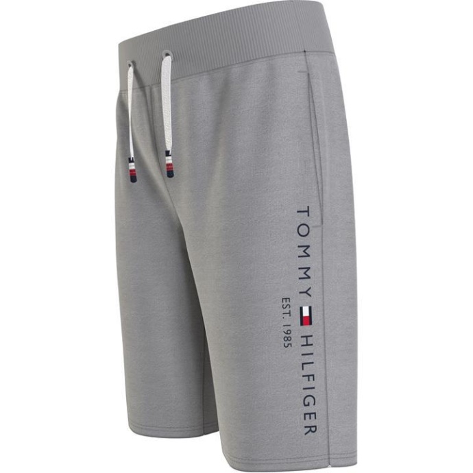 Tommy Hilfiger Danmark Grå P01 Essential Sweatshorts
