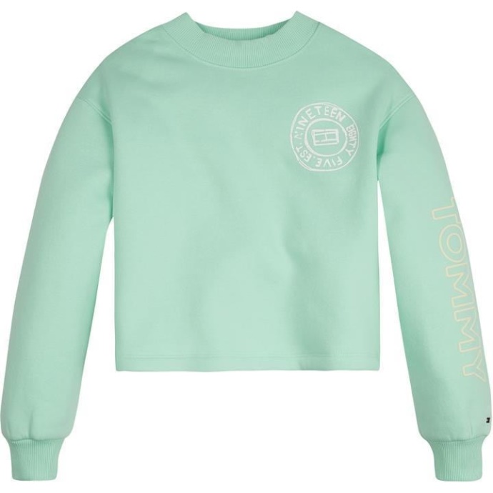 Tommy Overprint Cn Jg21 Lagoon L2z Tommy Hilfiger Danmark